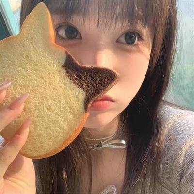 盗影谜情