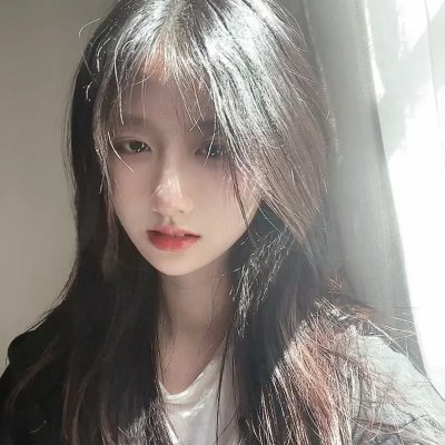 树袋熊